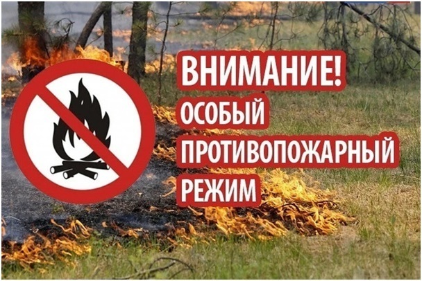 Пожароопасный сезон. Пожароопасный сезон.